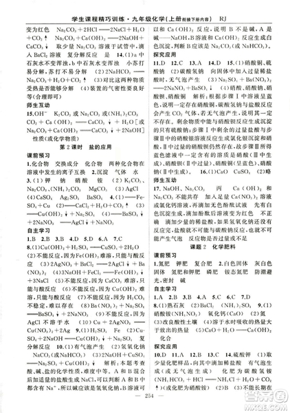 2018版學生課程精巧訓(xùn)練化學八年級上冊人教RJ版答案