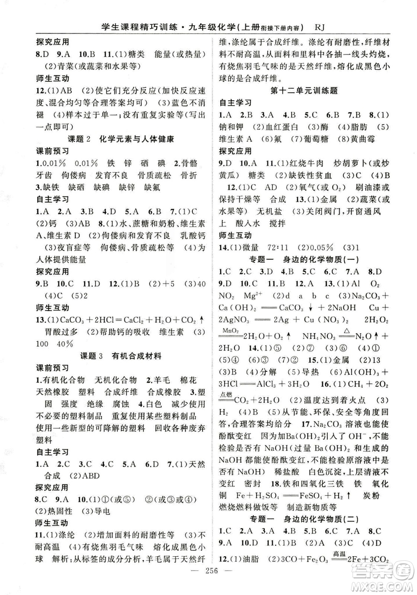2018版學生課程精巧訓(xùn)練化學八年級上冊人教RJ版答案