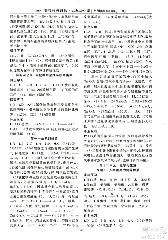 2018版學生課程精巧訓(xùn)練化學八年級上冊人教RJ版答案