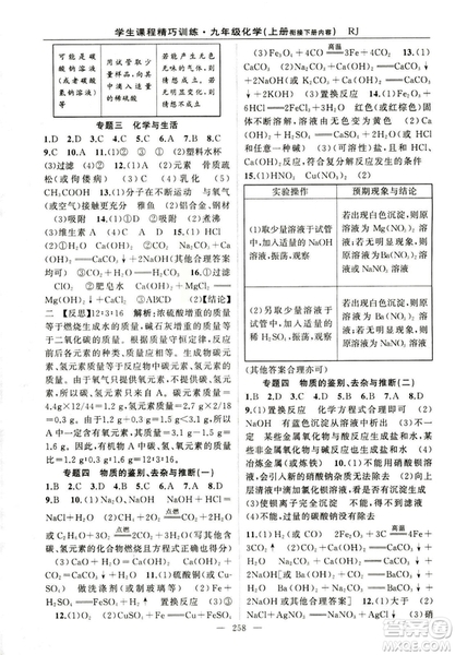 2018版學生課程精巧訓(xùn)練化學八年級上冊人教RJ版答案