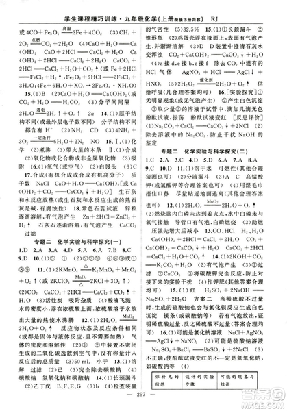 2018版學生課程精巧訓(xùn)練化學八年級上冊人教RJ版答案