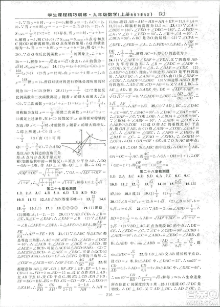 2018版學(xué)生課程精巧訓(xùn)練數(shù)學(xué)九年級(jí)上冊(cè)人教RJ版答案