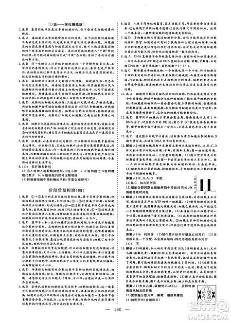 三維設計2018-2019版高中新課標同步課堂生物必修1人教版答案
