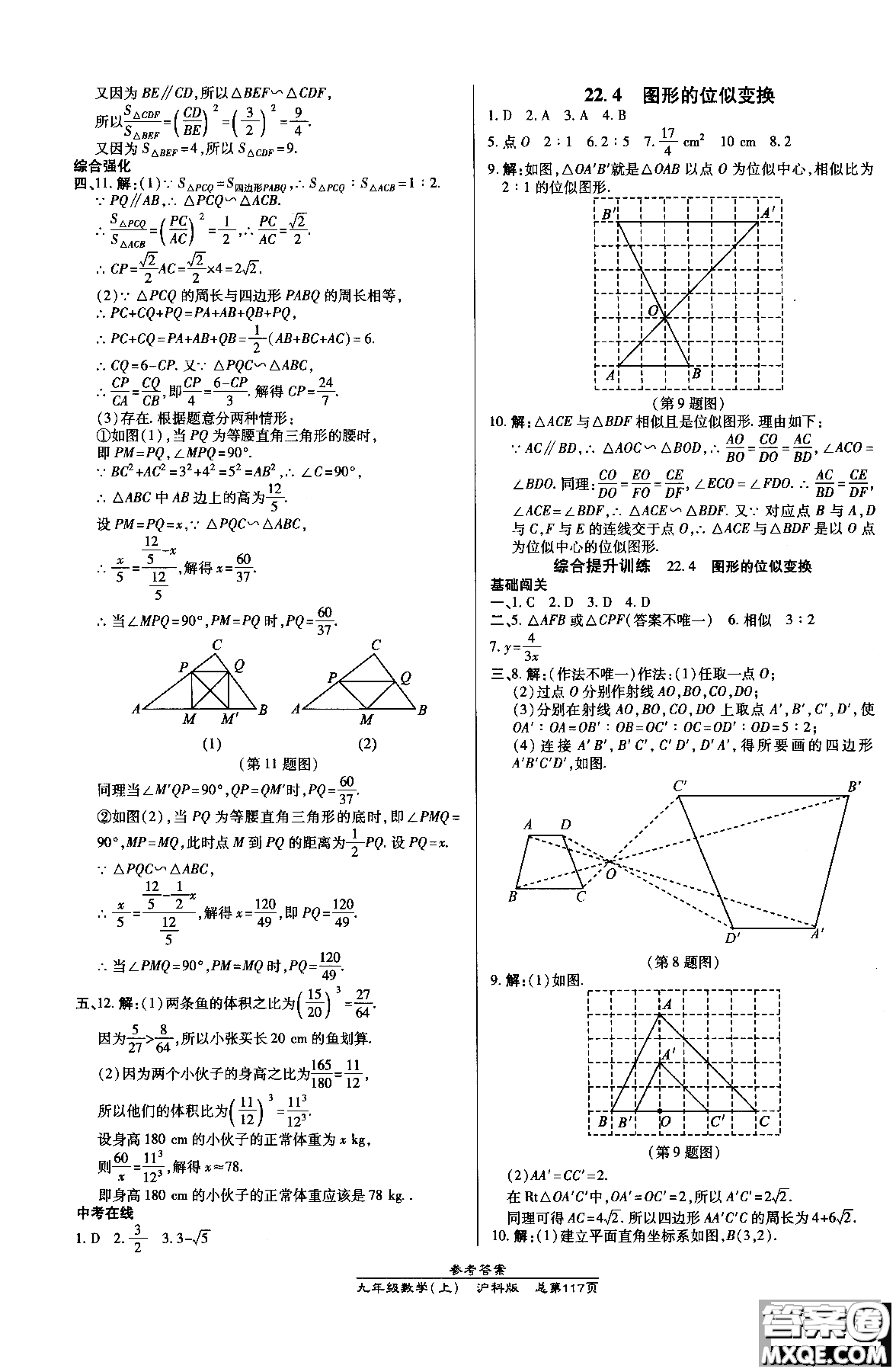 9787513109437高效課時通九年級數(shù)學滬科版上冊2019版參考答案