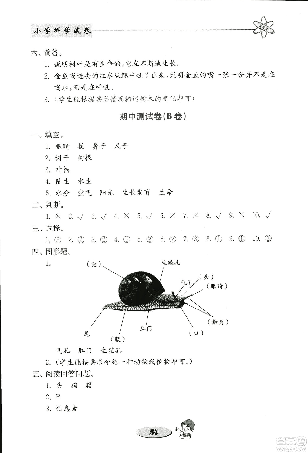 2018秋教科版金鑰匙小學科學試卷三年級上冊參考答案