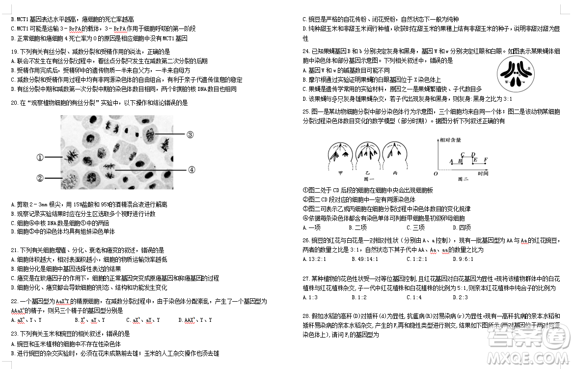 2019屆荊荊襄宜四地七校考試聯(lián)盟高三10月聯(lián)考生物答案