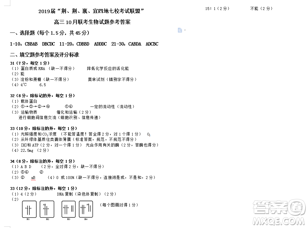 2019屆荊荊襄宜四地七校考試聯(lián)盟高三10月聯(lián)考生物答案