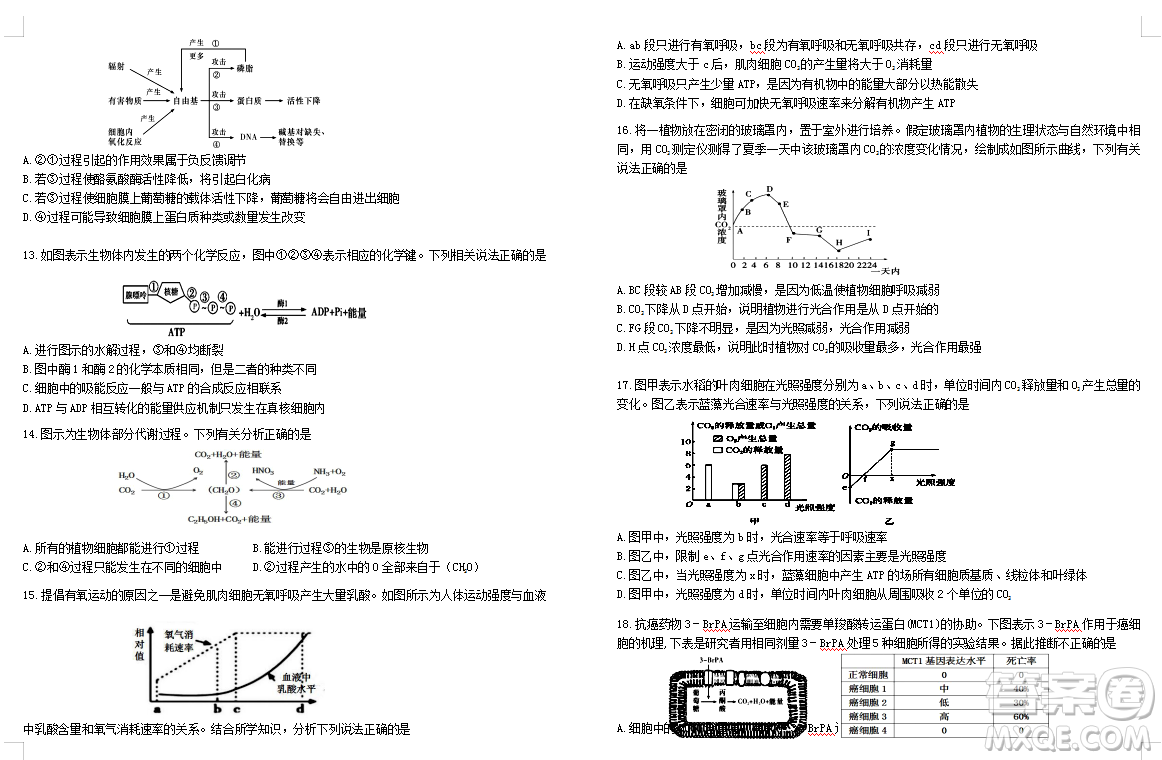 2019屆荊荊襄宜四地七?？荚嚶?lián)盟高三10月聯(lián)考生物答案