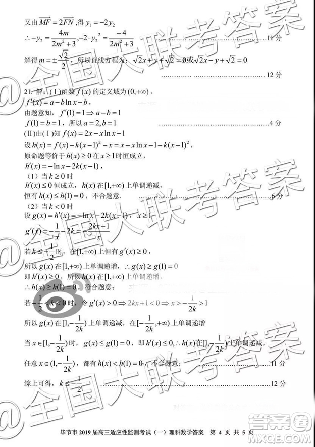 畢節(jié)市2019屆高三適應(yīng)性監(jiān)測(cè)考試一理科數(shù)學(xué)參考答案