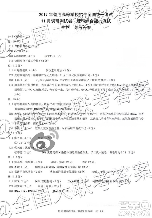 2019年普通高等學校招生全國統(tǒng)一考試11月調(diào)研測試理科綜合參考答案