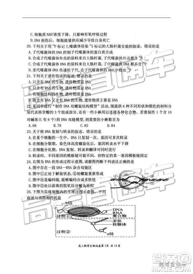 湖北省部分重點中學(xué)2019屆高三第一次聯(lián)考理科綜合參考答案