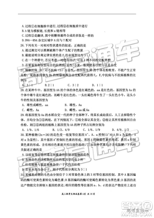 湖北省部分重點中學(xué)2019屆高三第一次聯(lián)考理科綜合參考答案