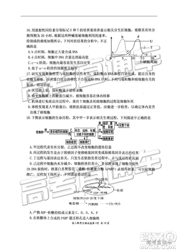 湖北省部分重點中學(xué)2019屆高三第一次聯(lián)考理科綜合參考答案