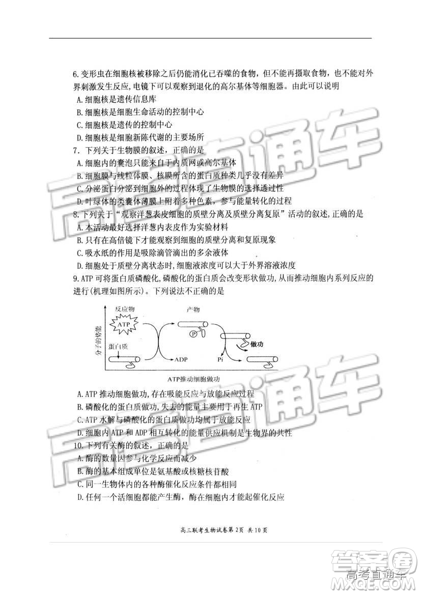 湖北省部分重點中學(xué)2019屆高三第一次聯(lián)考理科綜合參考答案