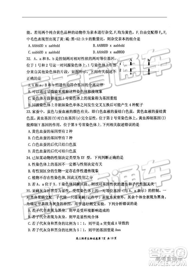 湖北省部分重點中學(xué)2019屆高三第一次聯(lián)考理科綜合參考答案