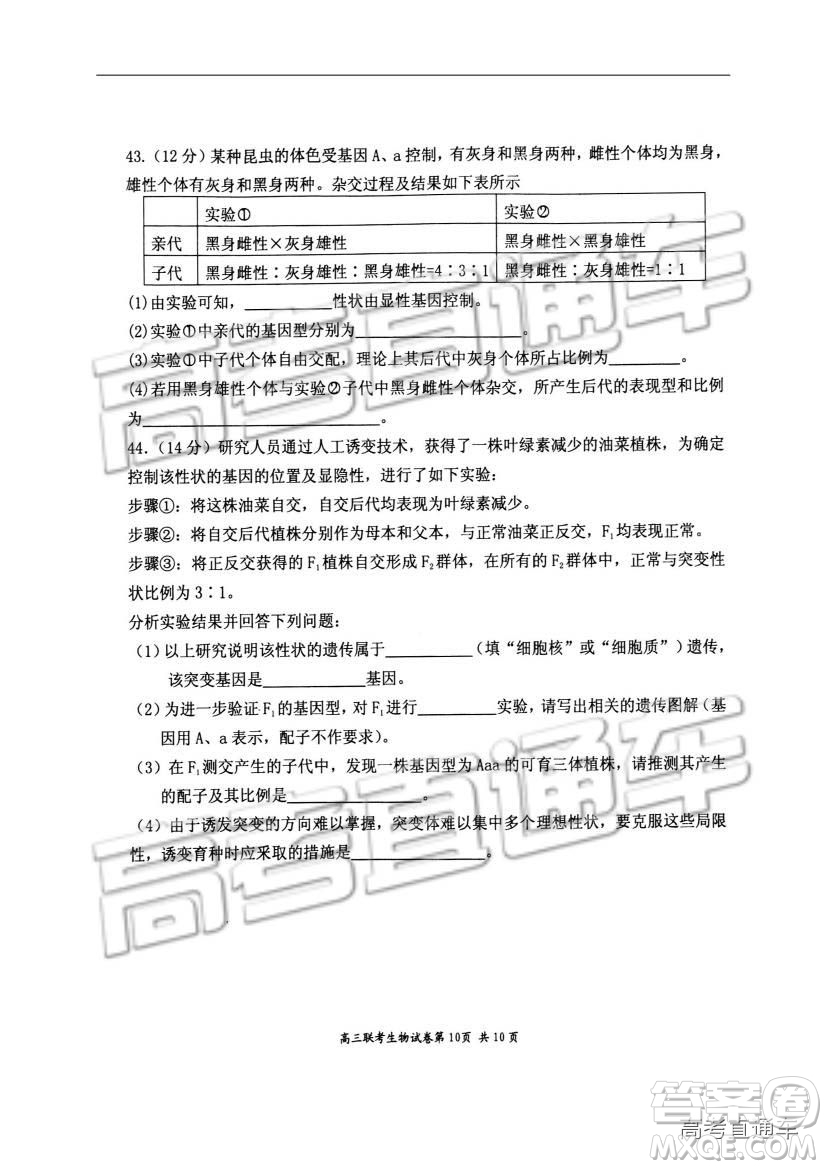 湖北省部分重點中學(xué)2019屆高三第一次聯(lián)考理科綜合參考答案