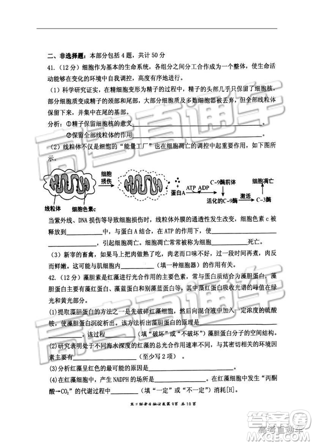 湖北省部分重點中學(xué)2019屆高三第一次聯(lián)考理科綜合參考答案