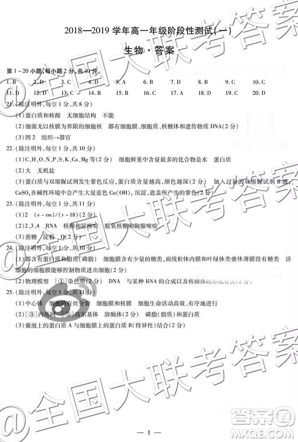 天一聯(lián)考2018-2019學(xué)年高一年級階段性測試一生物參答案