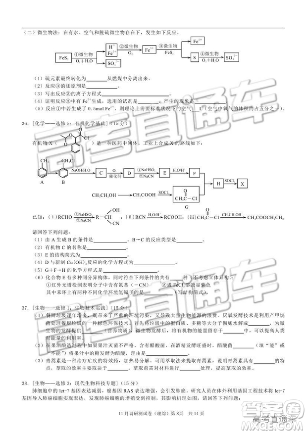 2019重慶市普通高等學(xué)校招生全國統(tǒng)一考試11月調(diào)研測試?yán)砭C試題及參考答案