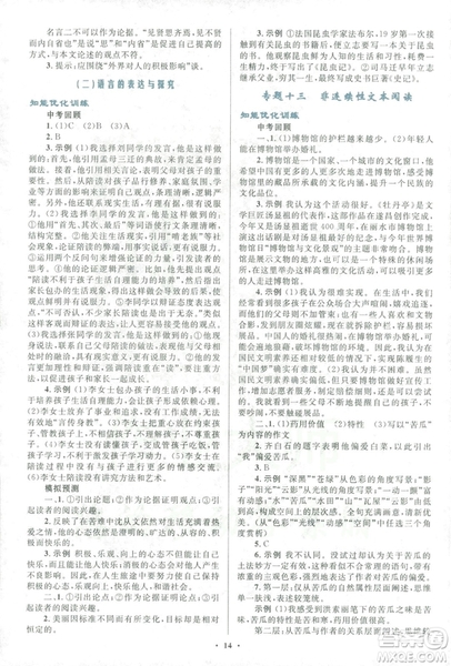 2018年初中總復(fù)習(xí)優(yōu)化設(shè)計(jì)浙江專版語文參考答案