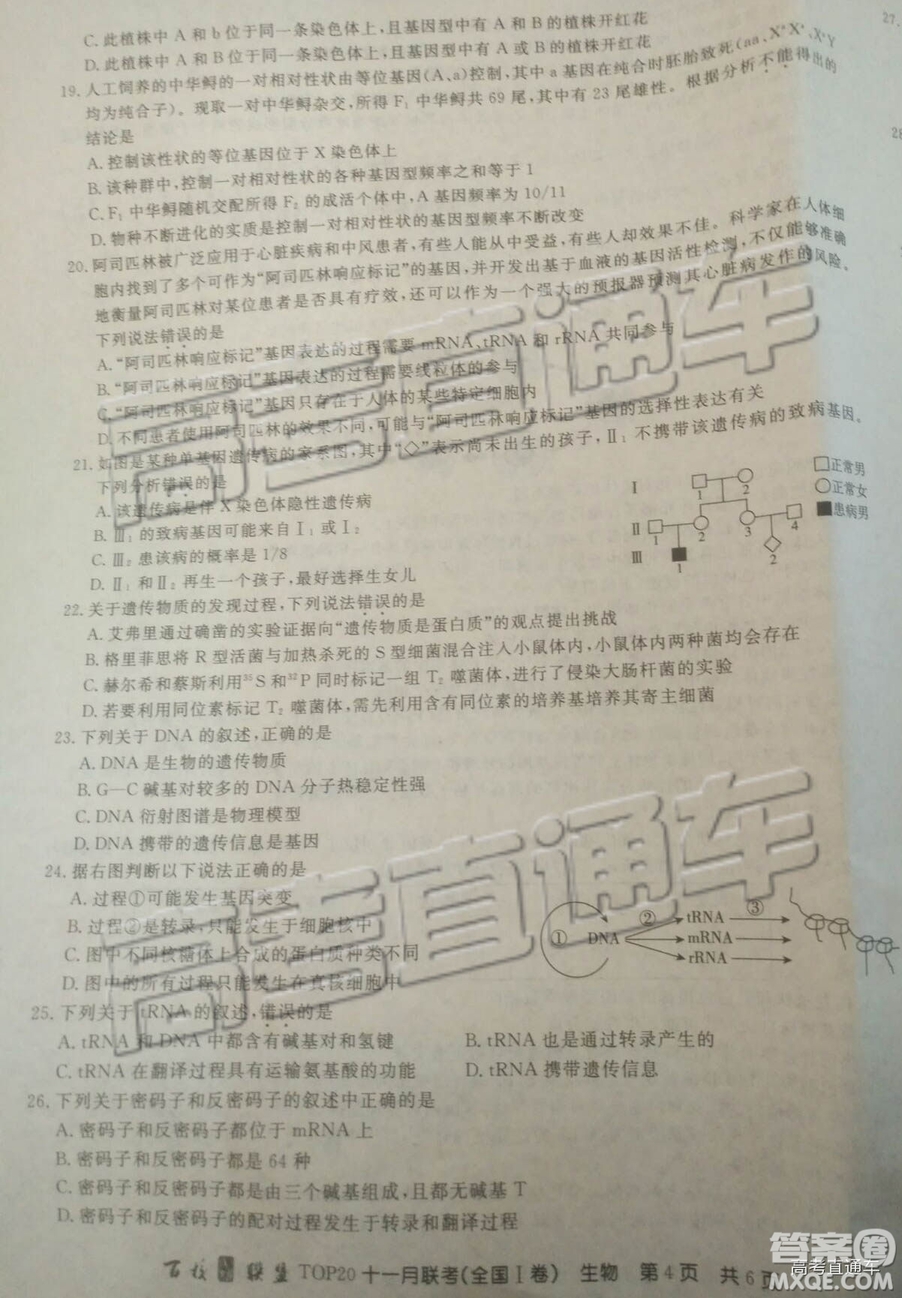 2019百校聯(lián)盟TOP20十一月聯(lián)考高三全國Ⅰ卷生物試題及參考答案