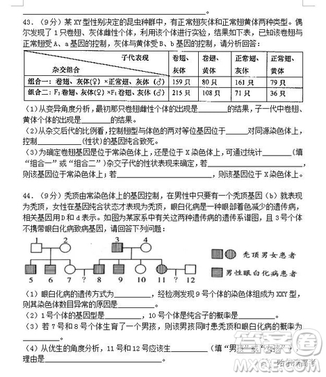 哈三中2018高三期中考試理科綜合試題答案