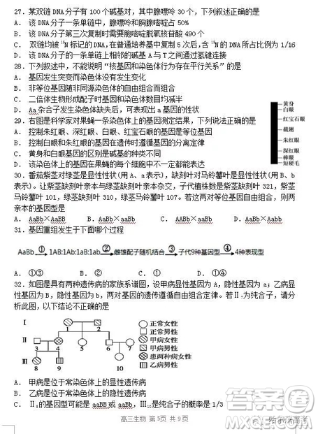 哈三中2018高三期中考試理科綜合試題答案