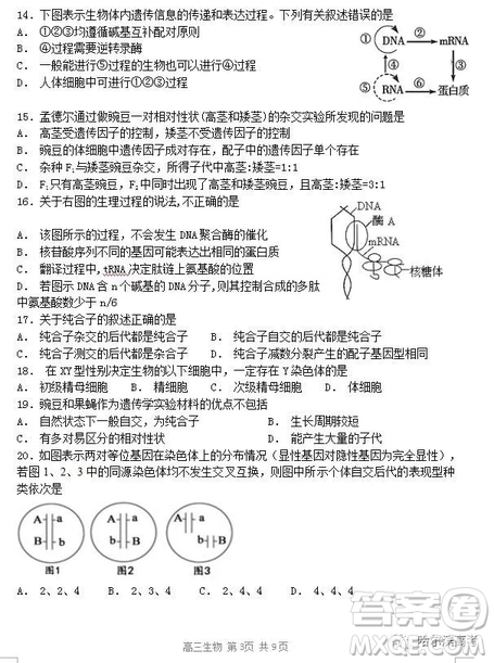 哈三中2018高三期中考試理科綜合試題答案