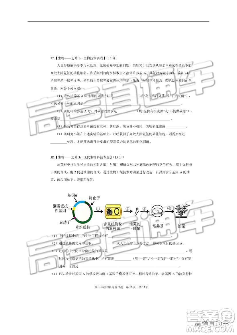 華中師大一附中2018—2019學(xué)年度上學(xué)期高三期中檢測(cè)理綜試題及參考答案