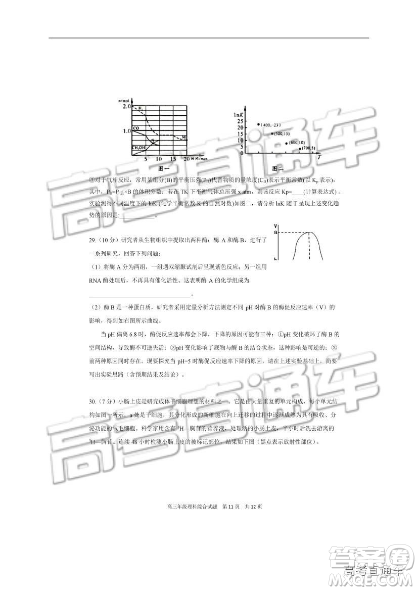 華中師大一附中2018—2019學(xué)年度上學(xué)期高三期中檢測(cè)理綜試題及參考答案