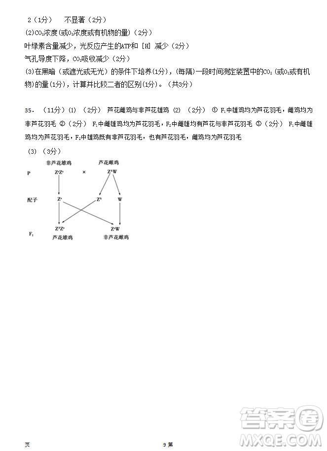 2019屆福建省泉州市泉港一中南安市國光中學高三上學期期中聯(lián)考試題生物答案