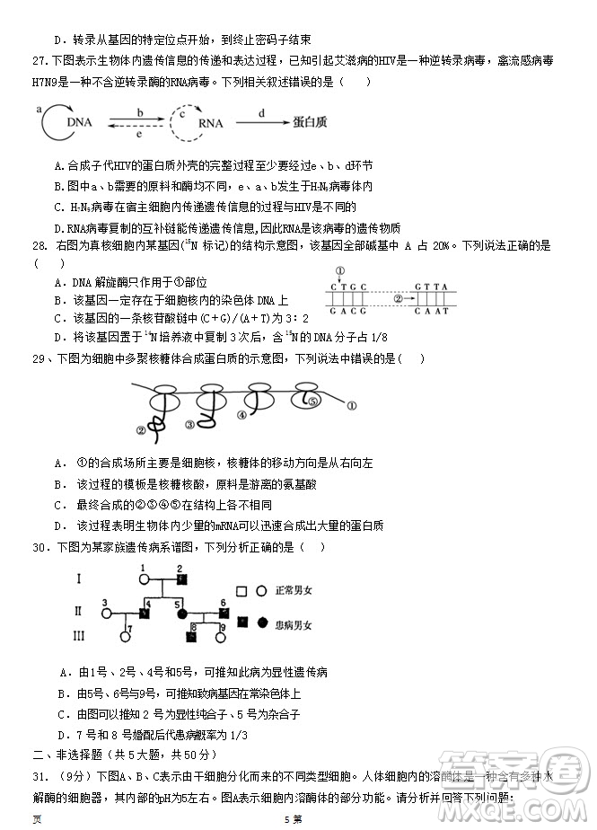 2019屆福建省泉州市泉港一中南安市國光中學高三上學期期中聯(lián)考試題生物答案