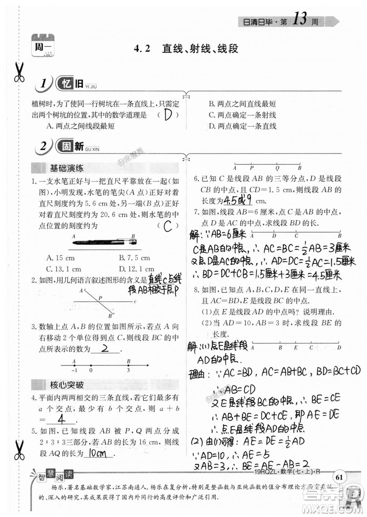 2019新版日清周練七年級數(shù)學上冊人教版參考答案