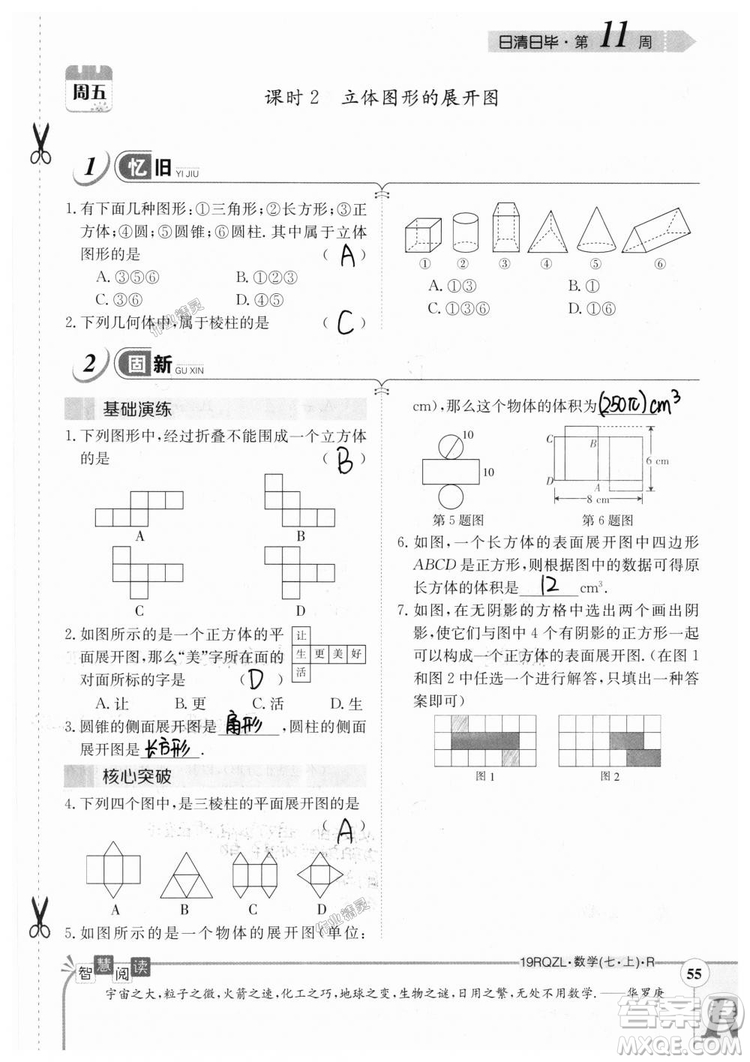 2019新版日清周練七年級數(shù)學上冊人教版參考答案