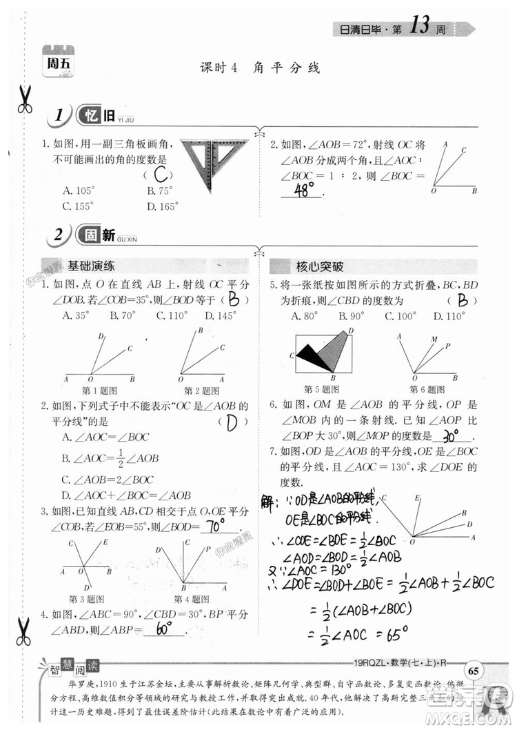 2019新版日清周練七年級數(shù)學上冊人教版參考答案