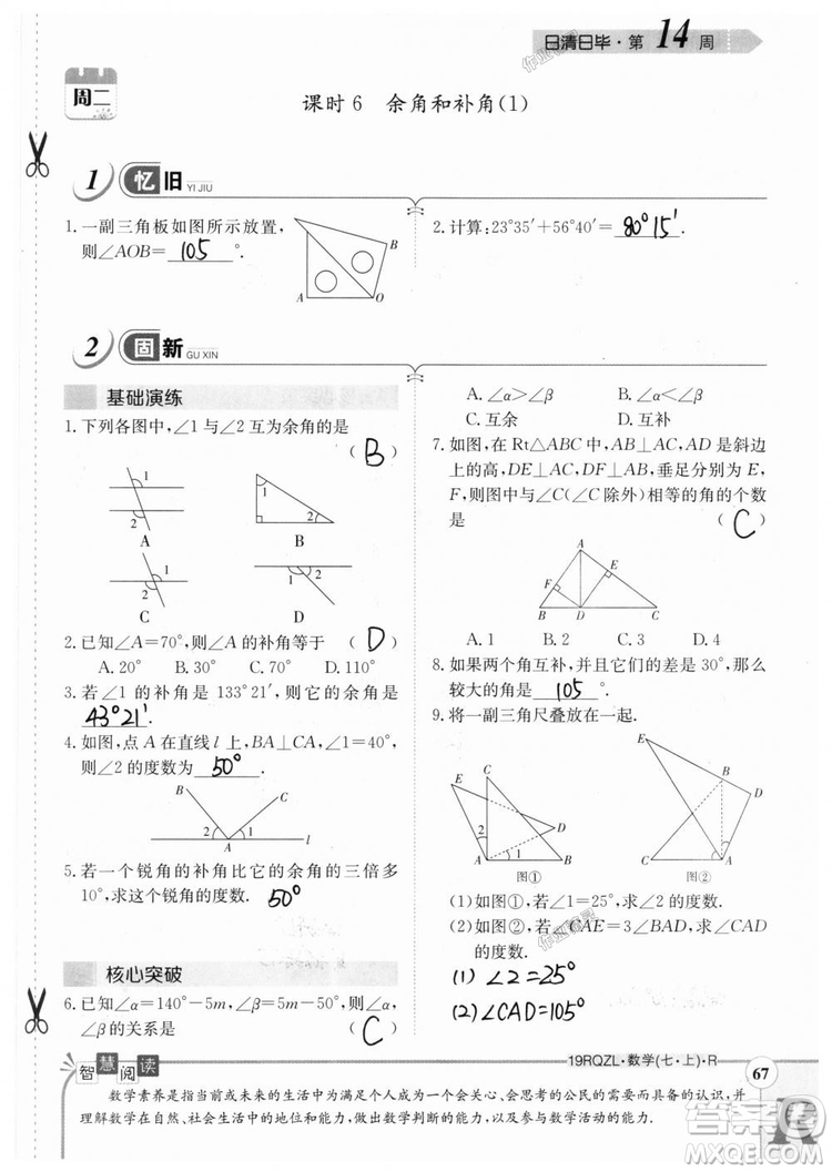 2019新版日清周練七年級數(shù)學上冊人教版參考答案