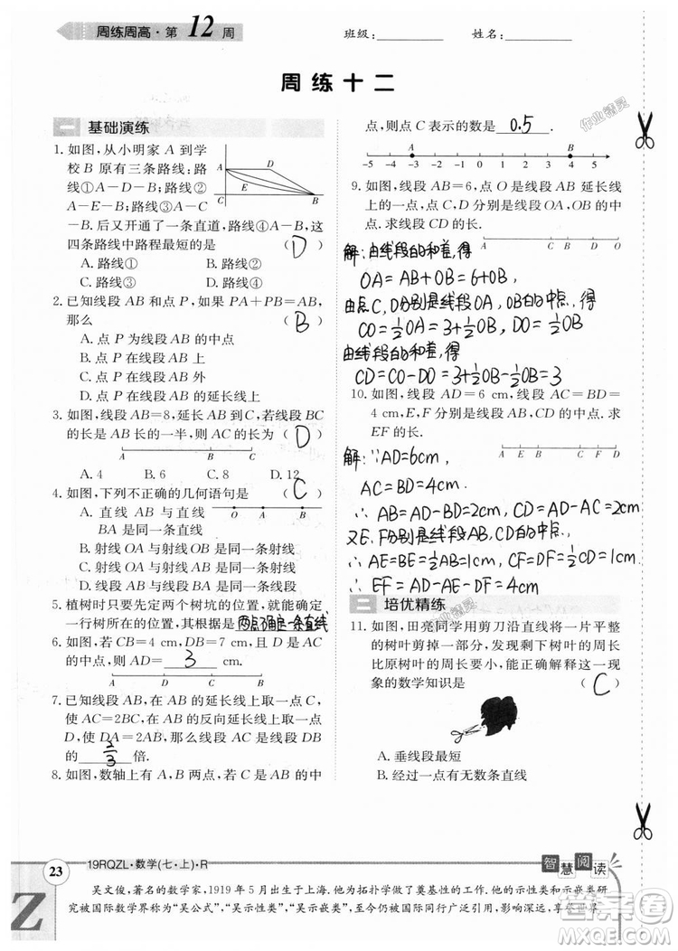 2019新版日清周練七年級數(shù)學上冊人教版參考答案