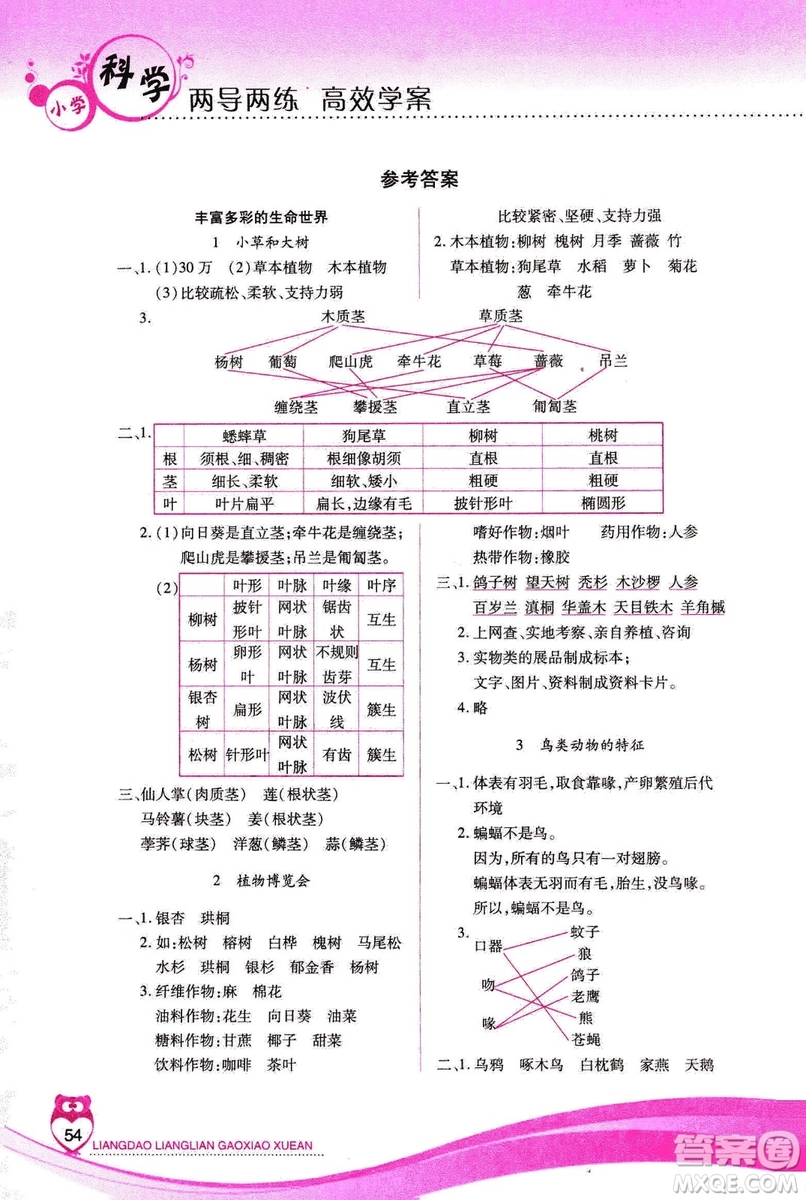 河北人民版2018年新課標(biāo)兩導(dǎo)兩練高效學(xué)案六年級上冊科學(xué)答案