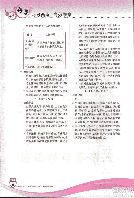 教科版2018年新課標兩導兩練高效學案六年級上冊科學答案