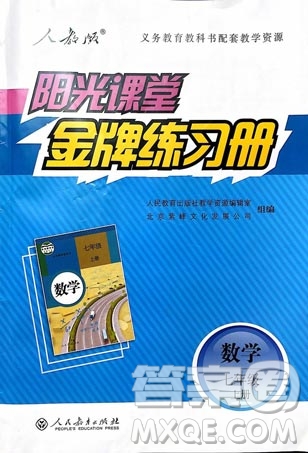 9787107250644陽光課堂金牌練習冊2018年數(shù)學七年級上冊人教版答案