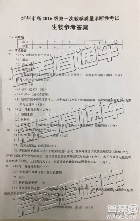 2019年瀘州市高三一診2016級理綜參考答案