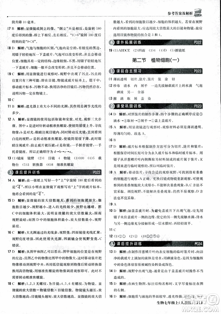 9787552240603人教版銀版1+1輕巧奪冠優(yōu)化訓(xùn)練七年級(jí)上冊生物2018參考答案