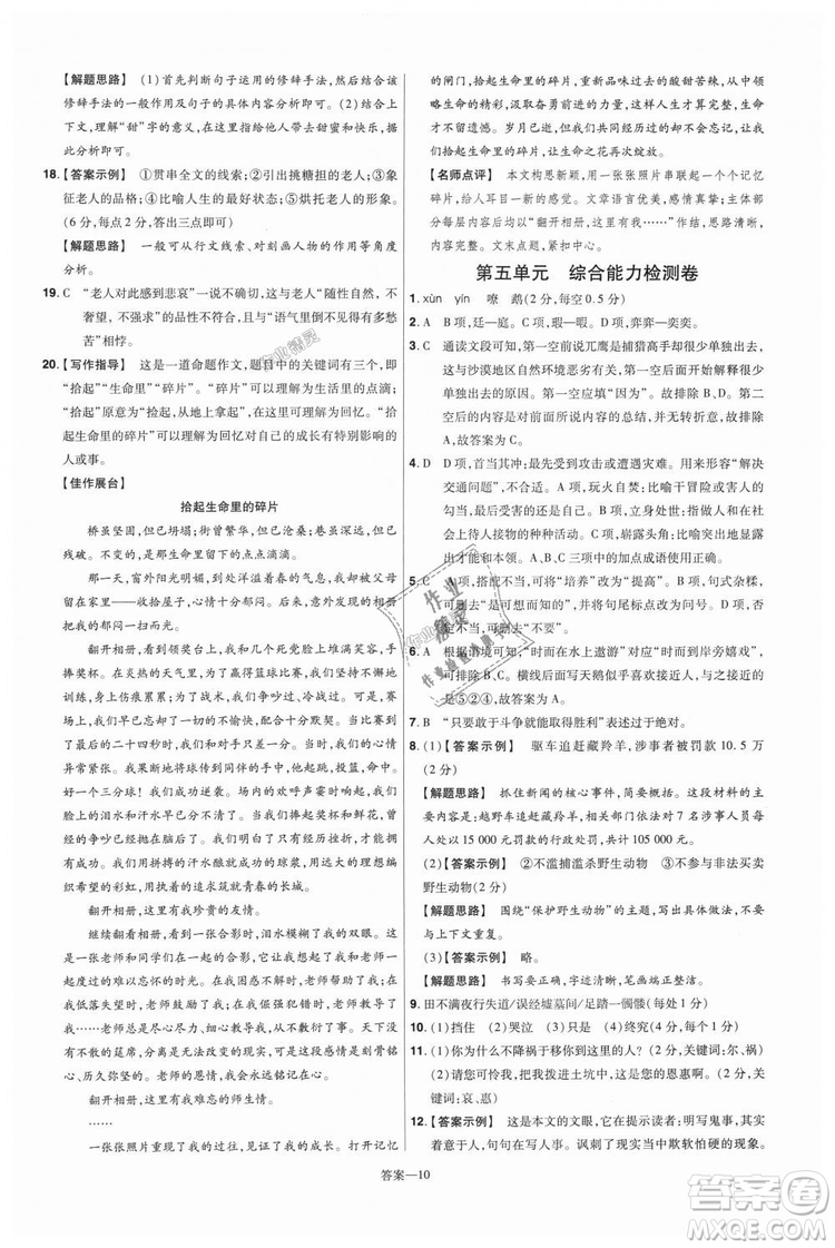 9787565128059天星教育2019版一遍過七年級(jí)上語(yǔ)文RJ版人教版參考答案