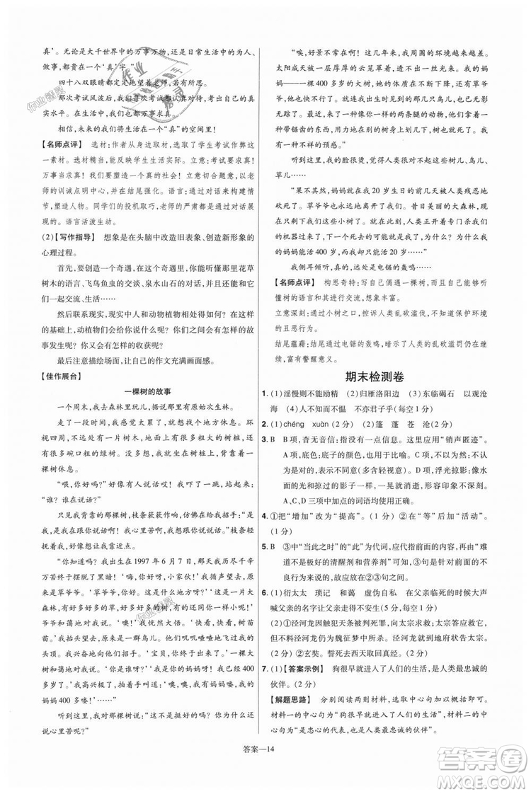 9787565128059天星教育2019版一遍過七年級(jí)上語(yǔ)文RJ版人教版參考答案