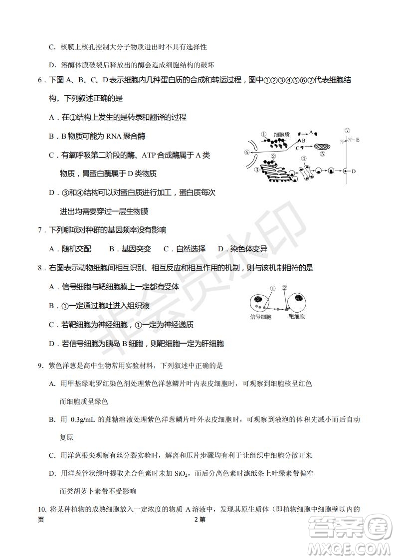 2019屆福建省廈門外國(guó)語(yǔ)學(xué)校高三11月月考生物試題及答案