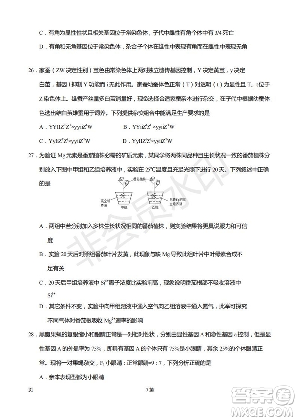 2019屆福建省廈門外國(guó)語(yǔ)學(xué)校高三11月月考生物試題及答案