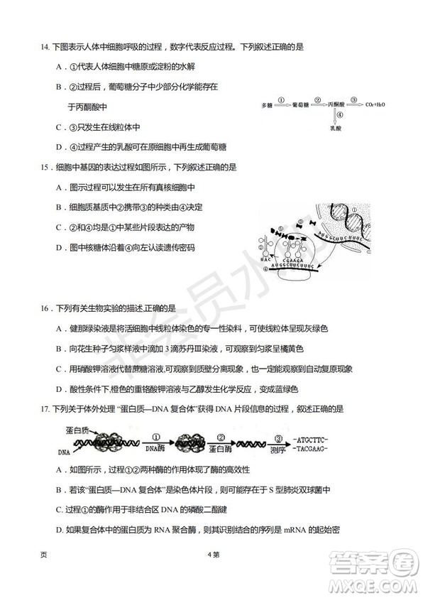 2019屆福建省廈門外國(guó)語(yǔ)學(xué)校高三11月月考生物試題及答案