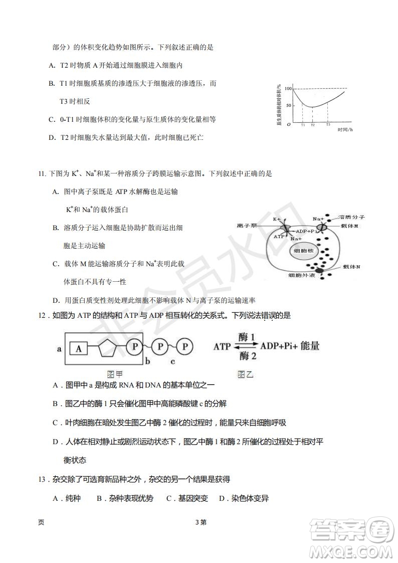 2019屆福建省廈門外國(guó)語(yǔ)學(xué)校高三11月月考生物試題及答案