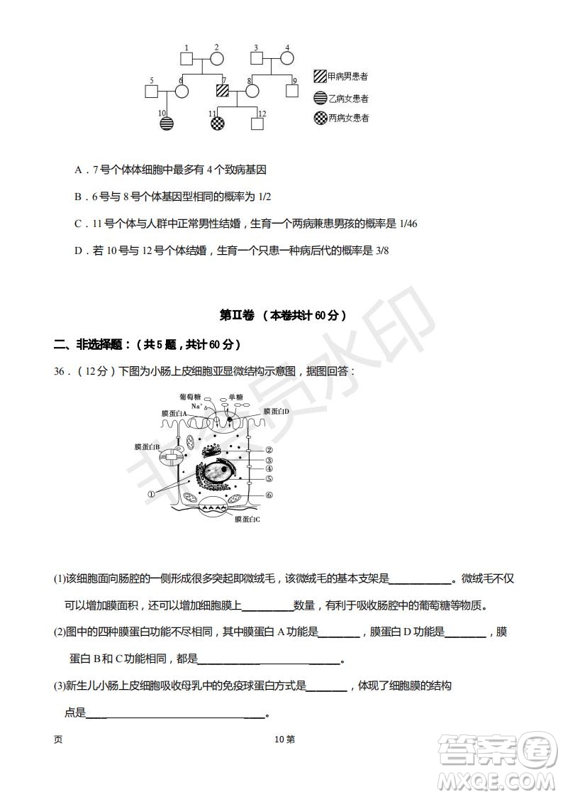2019屆福建省廈門外國(guó)語(yǔ)學(xué)校高三11月月考生物試題及答案