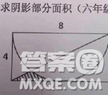 求陰影面積4 8答案 求陰影面積長(zhǎng)8寬4答案 抖音求陰影面積答案
